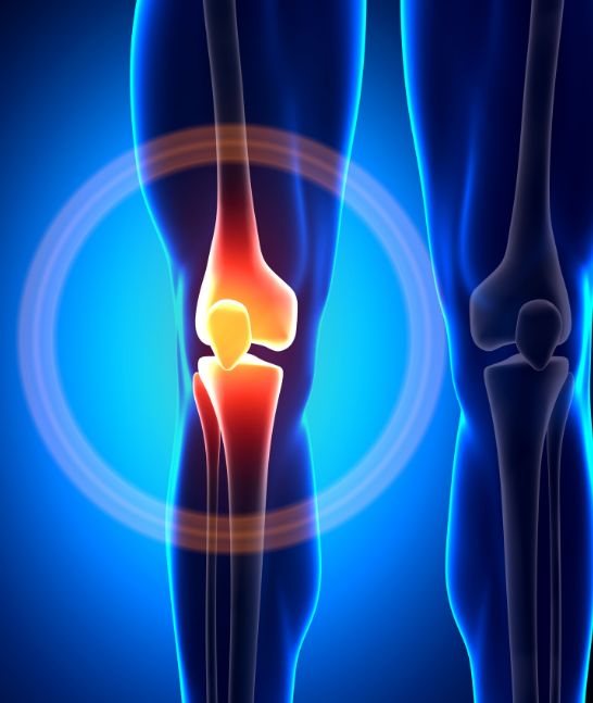 https://thephysioexperts.in/wp-content/uploads/2025/01/Post-Knee-Replacement-Physiotherapy.jpg